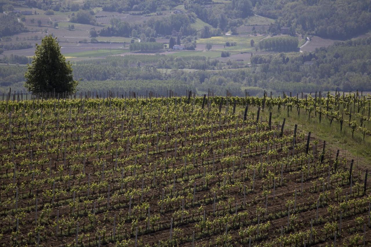 Cascina Marcantonio Acqui Terme Luaran gambar