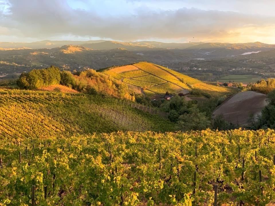 Cascina Marcantonio Acqui Terme Luaran gambar