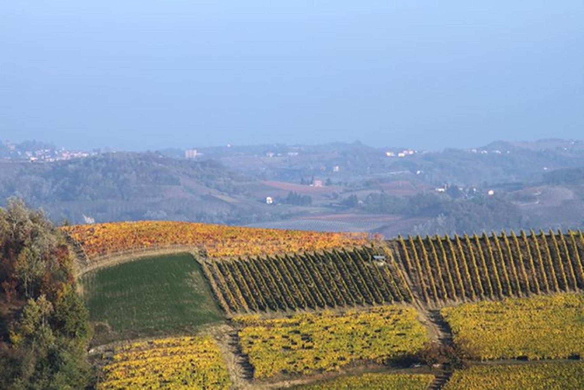 Cascina Marcantonio Acqui Terme Luaran gambar